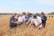 Training for seed growers in Sibirskaya Niva