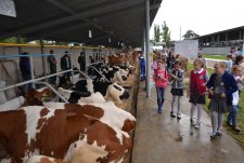 Inter-regional Pedigree Cattle and Livestock Equipment Trade Show
