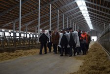 Opening of the modern dairy farm Bobrov