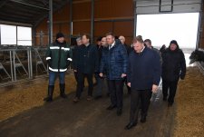 Opening of Shatsk dairy, Ryazan oblast