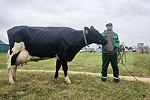 EkoNiva’s cow Luka becomes the vice champion at the Best Ryazan Cows trade show