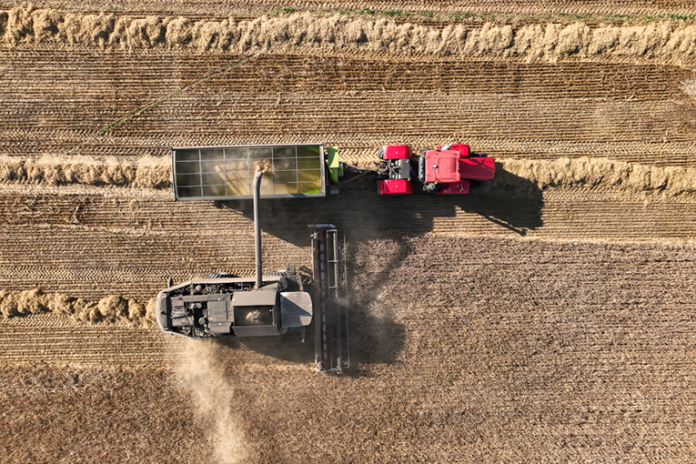 EkoNiva announces operating results over 2025