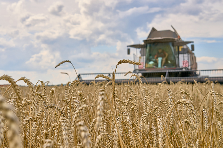 EkoNiva announces operating results over 2025