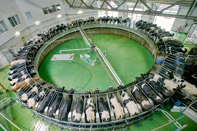 EkoNiva announces operating results over 2025