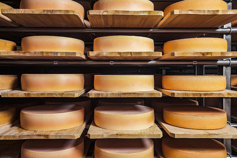 EkoNiva’s cheese plant is certified for export to China