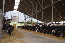 Посещение  животноводческих и растениеводческих ферм Германии