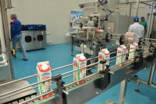 Opening of a Dairy Factory in Voronezh oblast