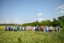 EkoNiva-Semena Field Day 2025