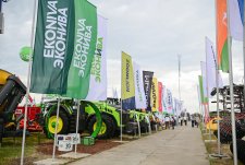 Siberian Field Day 2025