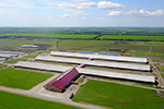 EkoNiva announces 2019 financial results