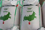 «ЭкоНива» увеличила продажи семян озимой пшеницы