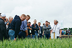 На Дне поля «ЭкоНивы-Семена» собрались свыше 150 аграриев из России и ближнего зарубежья