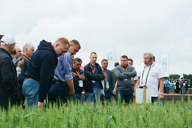 На Дне поля «ЭкоНивы-Семена» собрались свыше 150 аграриев из России и ближнего зарубежья