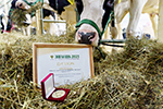 Коровы из рязанского подразделения «ЭкоНивы» получили медаль на выставке «Золотая осень – 2023» 