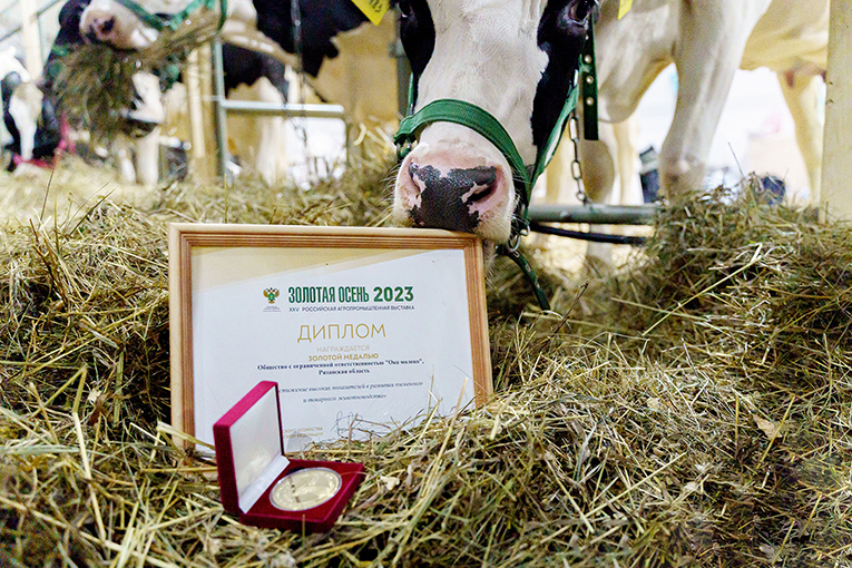 Коровы из рязанского подразделения «ЭкоНивы» получили медаль на выставке «Золотая осень – 2023» 
